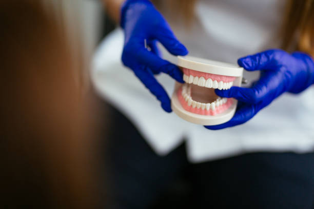 Best Traditional Braces  in North Branch, MN