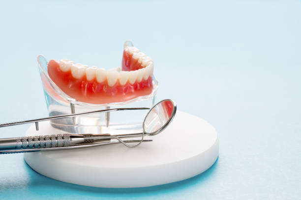 Best Periodontal (Gum) Disease Treatment  in North Branch, MN
